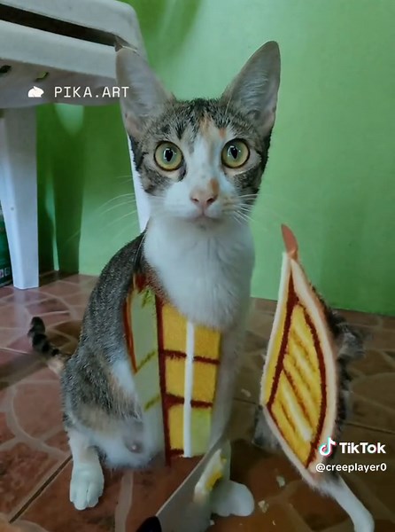 Crush It Melt It Tutorial for CapCut | Fun Video Effects