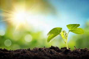 Conocer En Ingles Que Significa Heather