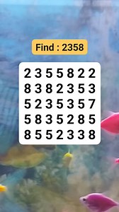 123K views · 417 reactions | #BrainTeasers #brainteaser #puzzle #QuizChallenge #quiz #quizzes | Puzzle Box | Facebook