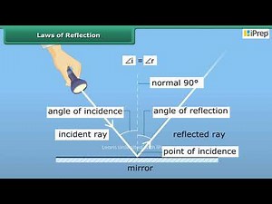 Laws of Reflection | Light | Science | Class 8 | iPrep