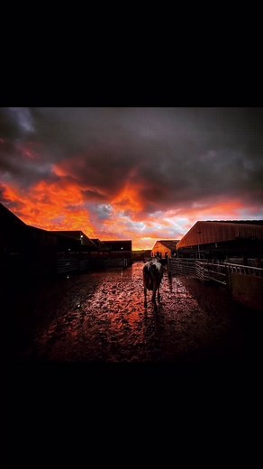 ⚠️FARM WALLPAPERS THAT ARE 🔥⚠️ #farm #wallpapers #fypforyou #fypthis #madeforyou #screensaver #farmlife