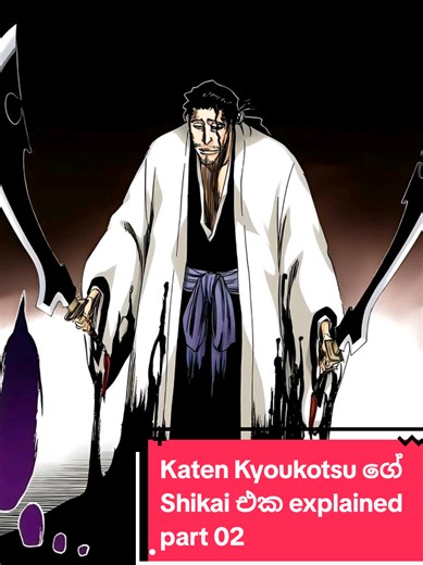 Katen Kyoukotsu Shikai Explained - Part 02