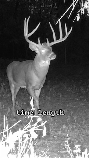 Bowhunting “The Thin 10” 🤯 IL Giant! New episode just dropped 👀
