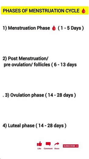 Phases Of Menstruation🩸 l#yt #medicosstuff #shortsviral #ytshortsviral #medical #shorts #shortvideo