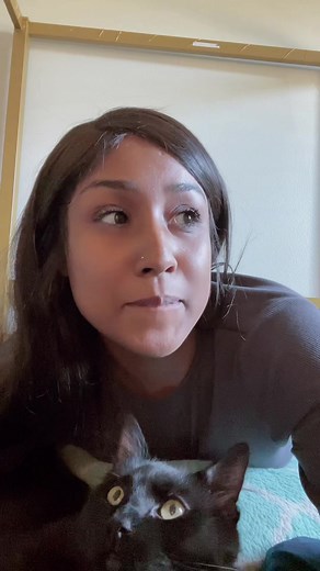 but if you’re going to get one cat, you should get two anyway so get a boy and a girl they will change your life 🥰 #fyp #catsoftiktok