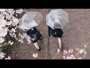 back to school sweetheart!! || school subliminal bundle