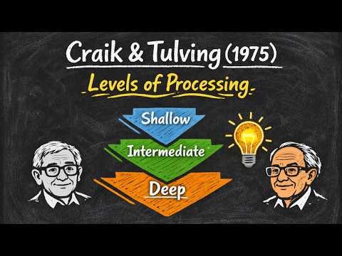 Level of Processing & Memory Recall | Craik and Tulving 1975 (Experiment 2)
