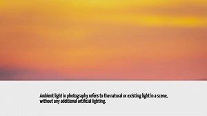 What Is Ambient Light In Photography
