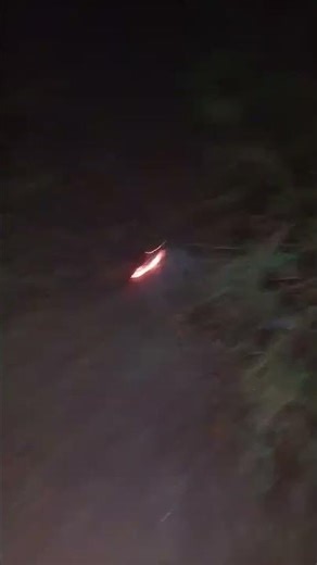 Petarda Explosive III w lesie !!!GŁOŚNA!!! #dc #pyro #fireworks #forest #firecracker