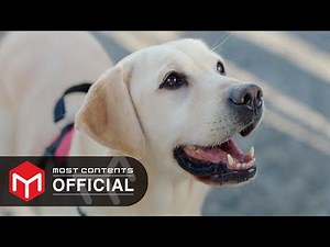 [M/V] more - Closing Ment :: Dog Knows Everything OST Part.2