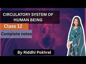 circulatory system of human being/ blood circulation through heart/ class 12/ NEB