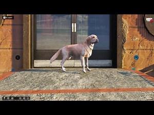 Mascotas BUSCADOS RP | GTA V Roleplay | Pet system | Pet shop script | Fivem