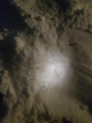 Exploring a Whole Other Dimension of Snowy ASMR