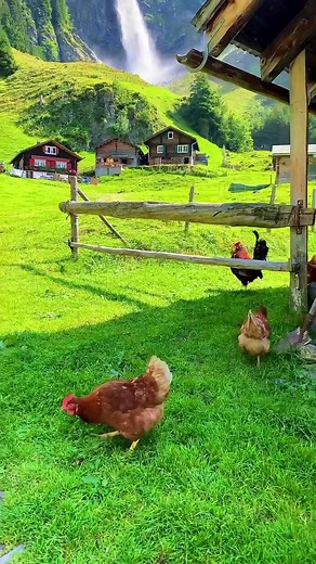 جمال الريف في سويسرا: رحلة إلى آفاق الطبيعة