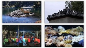 Automated video looping with progressive dynamism