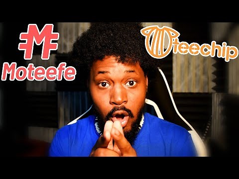 Exposing FAKE/SCAMMING T-Shirt Companies (TeeChip, Moteefe)