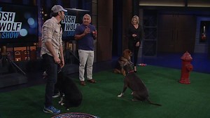 So how good are Josh Wolf and Chelsea Handler at training dogs? You'll see below... More fun on the #JoshWolfShow Thursday - Sunday at 11/10c on CMT. | CMT