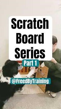Scratch Board Training for Dogs: Part 1 | Cooperative Nail Care