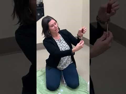 B12 injection demonstration for pets