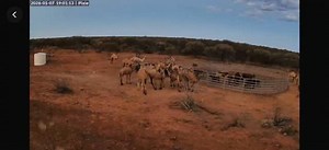 Looks like we could get busy.... | Jack Out The Back