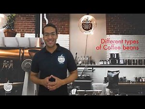 Types of Coffee Beans