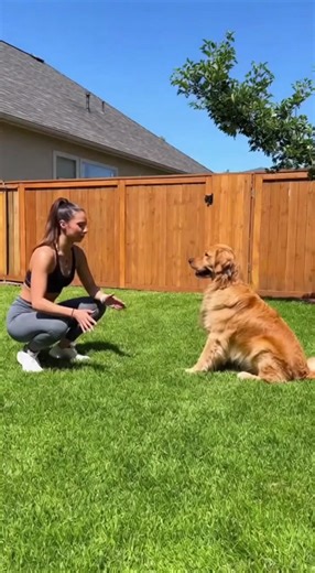 4.3K views · 99 reactions | My Dog Saw Me Do a Backflip and This Happened #GoldenRetriever #DogReels #FunnyAnimals #DogTricks #BackflipFail #DogChallenge #FunnyDog #BestDogEver #DogMom #GoldenLife | The Double-Take | Facebook