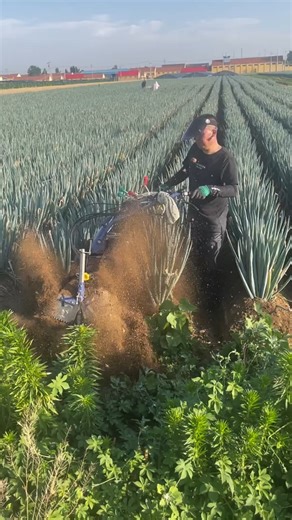 1.4M views · 2.4K reactions | Watch This Genius Farming Tool In Action 2025!! . . . . #farmhouse #farmtotable #harvest #irrigation #livestock #agribusiness2025 #cropprotection | Natural Farm Kirirom | Facebook