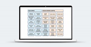Business Models & Theories "In Your Pocket" Activity