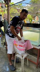 Dagdag pwersa, power sa ganda from Mfl goldfish, thank you Mfl, thank you bro safe na safe ang ating isda Top Go Christopher Sevilla. And thank you Daddey Ron Paulo Goldfish muaaah muaaah shuuupshupp #reelsvideo #goldfish #fish #hobby #pet | Migoy's Goldfish Place
