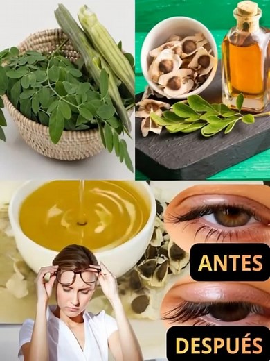 12 Beneficios de las Semillas de Moringa que Nunca Oirás de tu Médico (Pero que Deberías Conocer) 🌿✨....Para seguir recibiendo mis recetas, solo debes decir algo… ¡Gracias! | Planeta Tierra