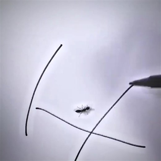 Mid Edit: Continuous Improvement Insights