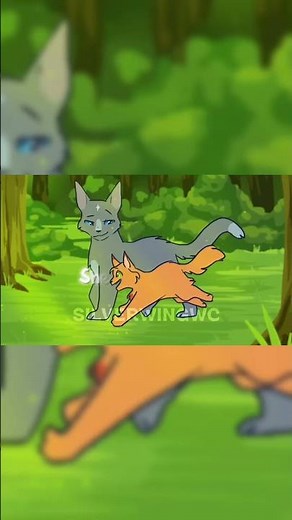 • Story of a Warrior 💙 🐾 • Bluestar ! •