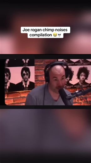 Joe Rogan's Bizarre Animal Noises Compilation
