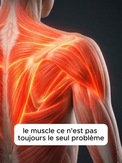 Nœud près de l’omoplate : pourquoi il revient et comment le soulager