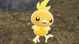 Where to Find Torchic in Pokemon Indigo Disk DLC (& How to Catch)