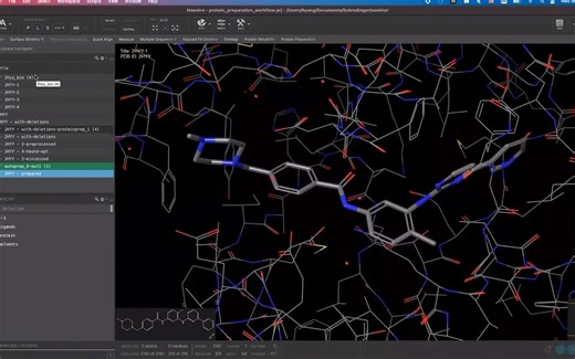 2022薛定谔中文网络培训系列 一、结构及靶点验证教学 （薛定谔官方教学视频）