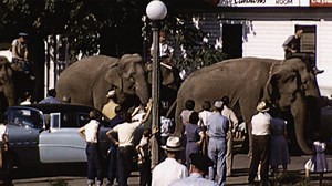 Circus: American Experience - The Circus: Trailer - Twin Cities PBS