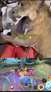 Ang liit nmn ng alaga mo pre | Mir4cle.