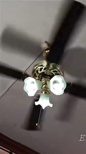 noisy ceiling fan