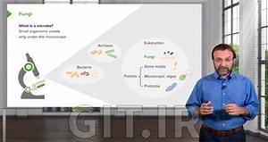 Microbiology: Introduction