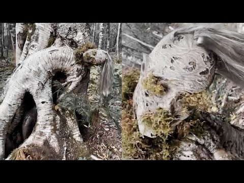 7 Incredible Paranormal Videos That You Will Have A Hard Time Explaining