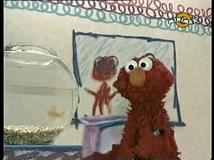 elmo 6