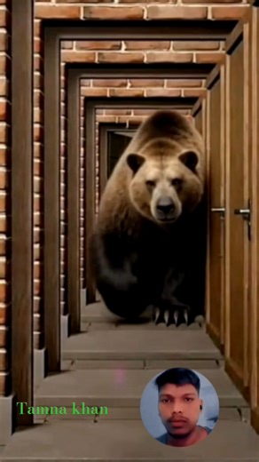 Dame Tu Cosita Crazy Alien Funny Dance Challenge Part_237 Alone Comedy Moves