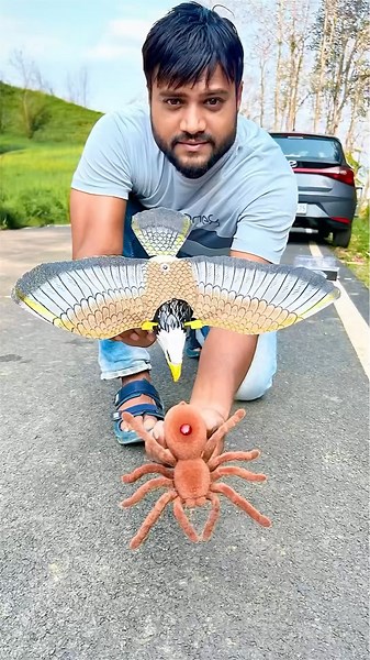 RC Eagle 🦅 and Remote Control Spider🕷️Unboxing
