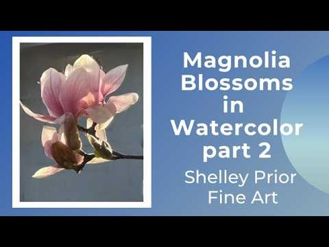 Magnolia Blossoms in Watercolor - part 2