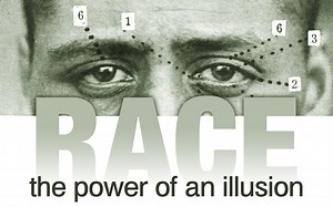 Watch RACE: The Power of an Illusion Online | Vimeo On Demand