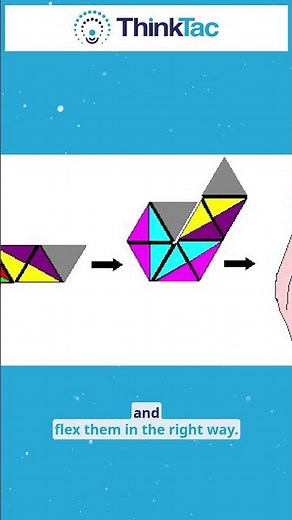 Did you know about flexagons? | Thinktac | #butterflylifecycle #butterfly #thinktac