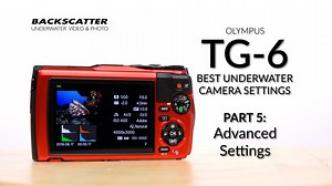 Grab your TG-6 and get ready to nerd out with our Advanced Settings guide. This might just be the most in-depth breakdown of the TG-6 ever! Be sure to get caught up with the rest of the series here: https://www.backscatter.com/reviews/post/Olympus-TG-6-Best-Underwater-Camera-Settings | Backscatter Underwater Video & Photo