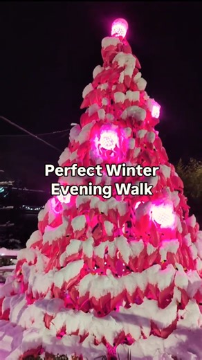 Free Winter Walk in NJ | Holiday Lights at Turtle Back Zoo