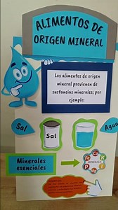 alimentos de origen mineral